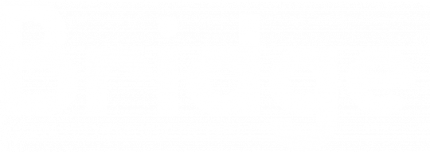 Bridge Partners® - Logo White